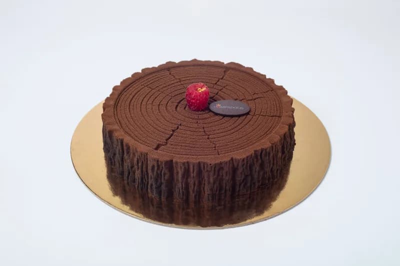 Foresta Chocolate-Raspberry Gâteau — Rich Belgian chocolate sponge with house-made raspberry filling, enrobed in velvety chocolate mousse and crowned with fresh raspberries. A decadent patisserie masterpiece